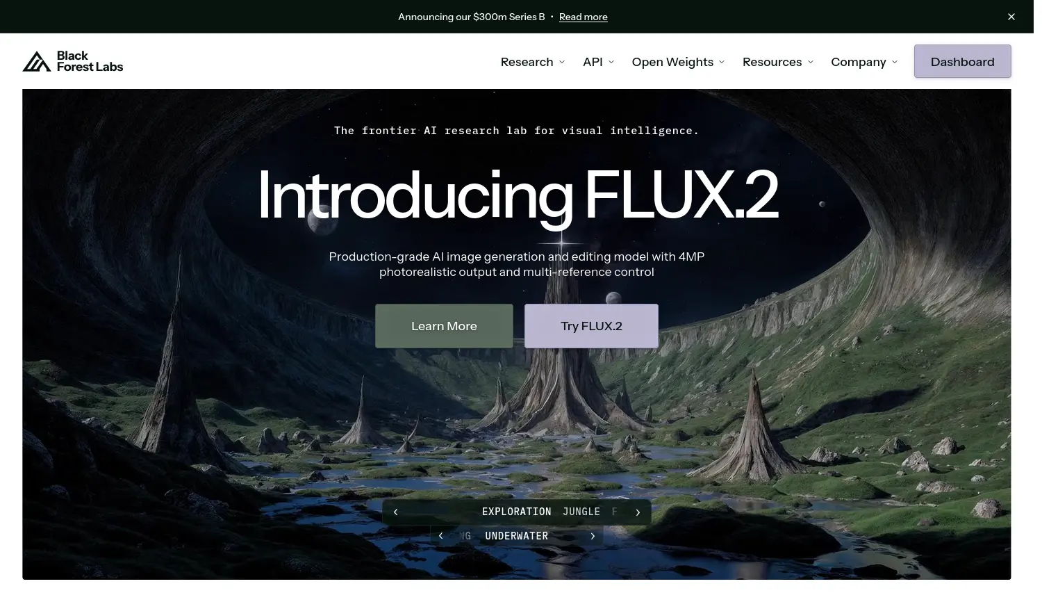 Website der Firma BFL GmbH