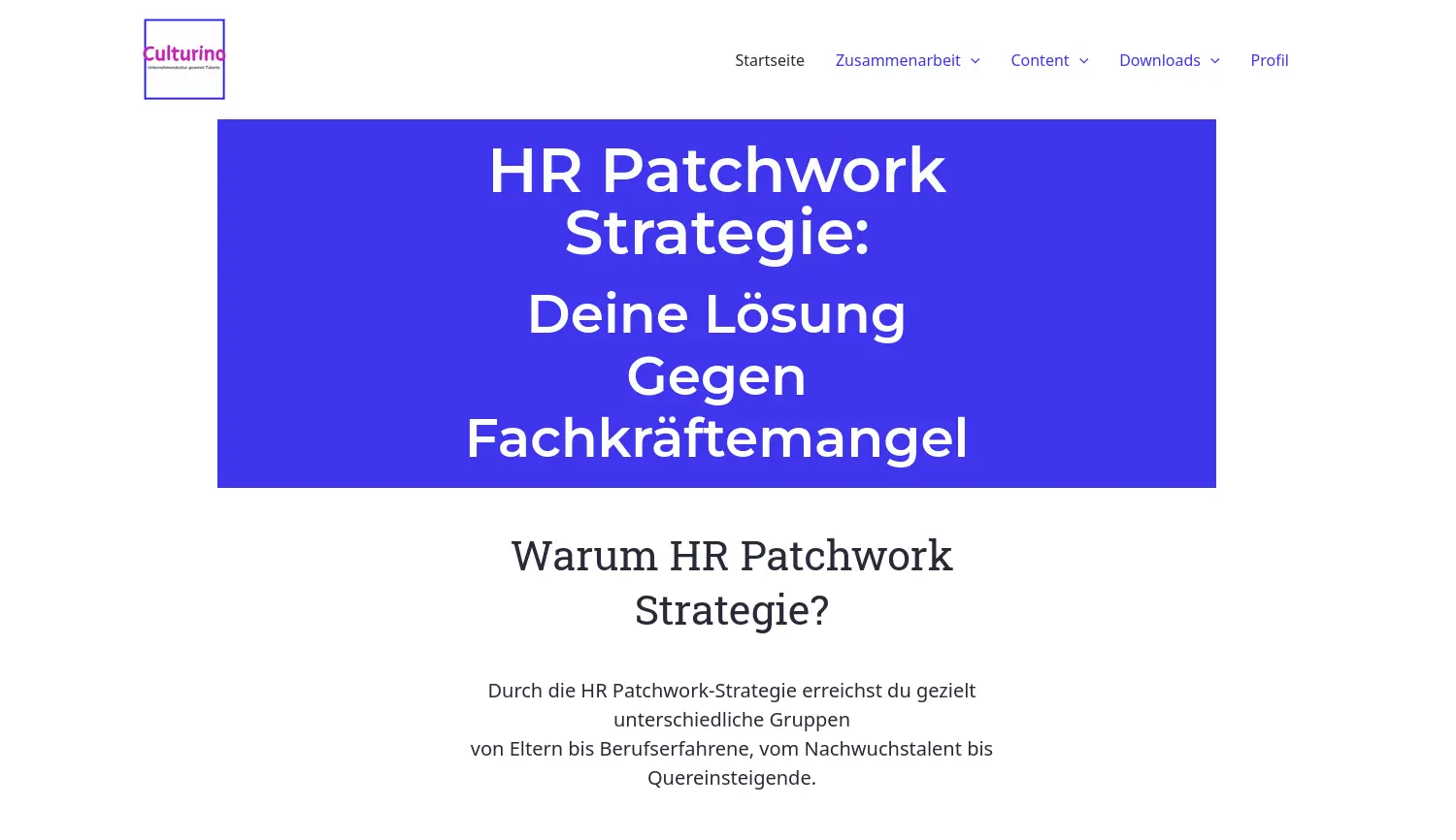 Website der Firma Robert Casel - Culturino