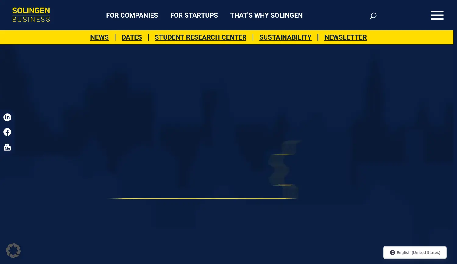 Website der Firma Wirtschaftsförderung Solingen GmbH & Co. KG