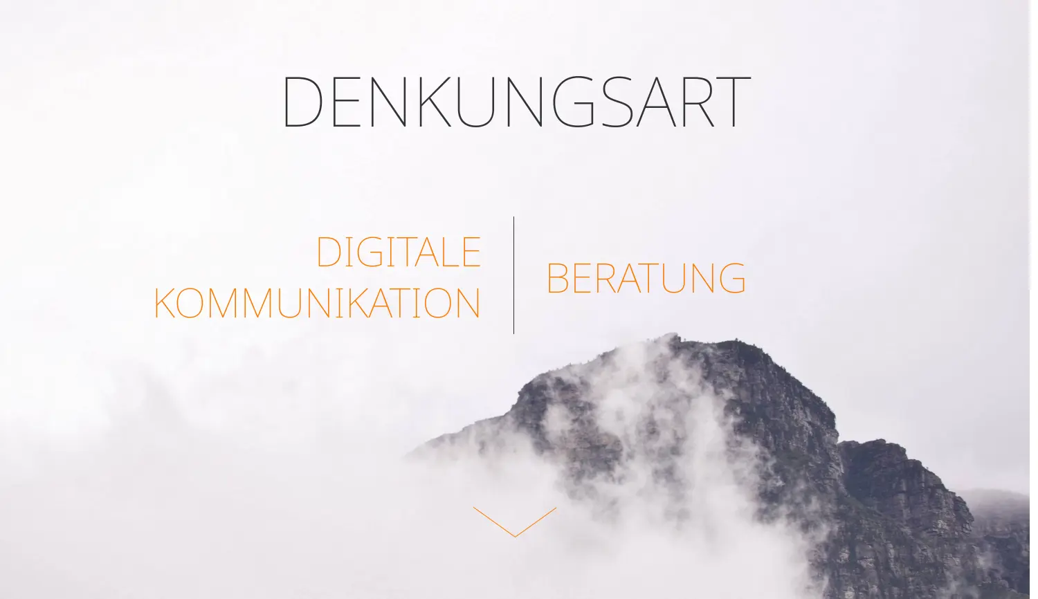 Website der Firma Denkungsart GmbH