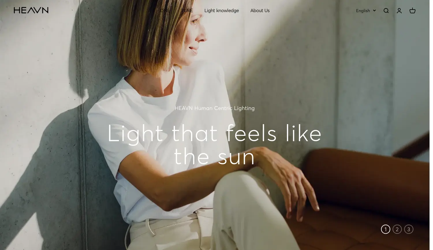 Website der Firma HEAVN