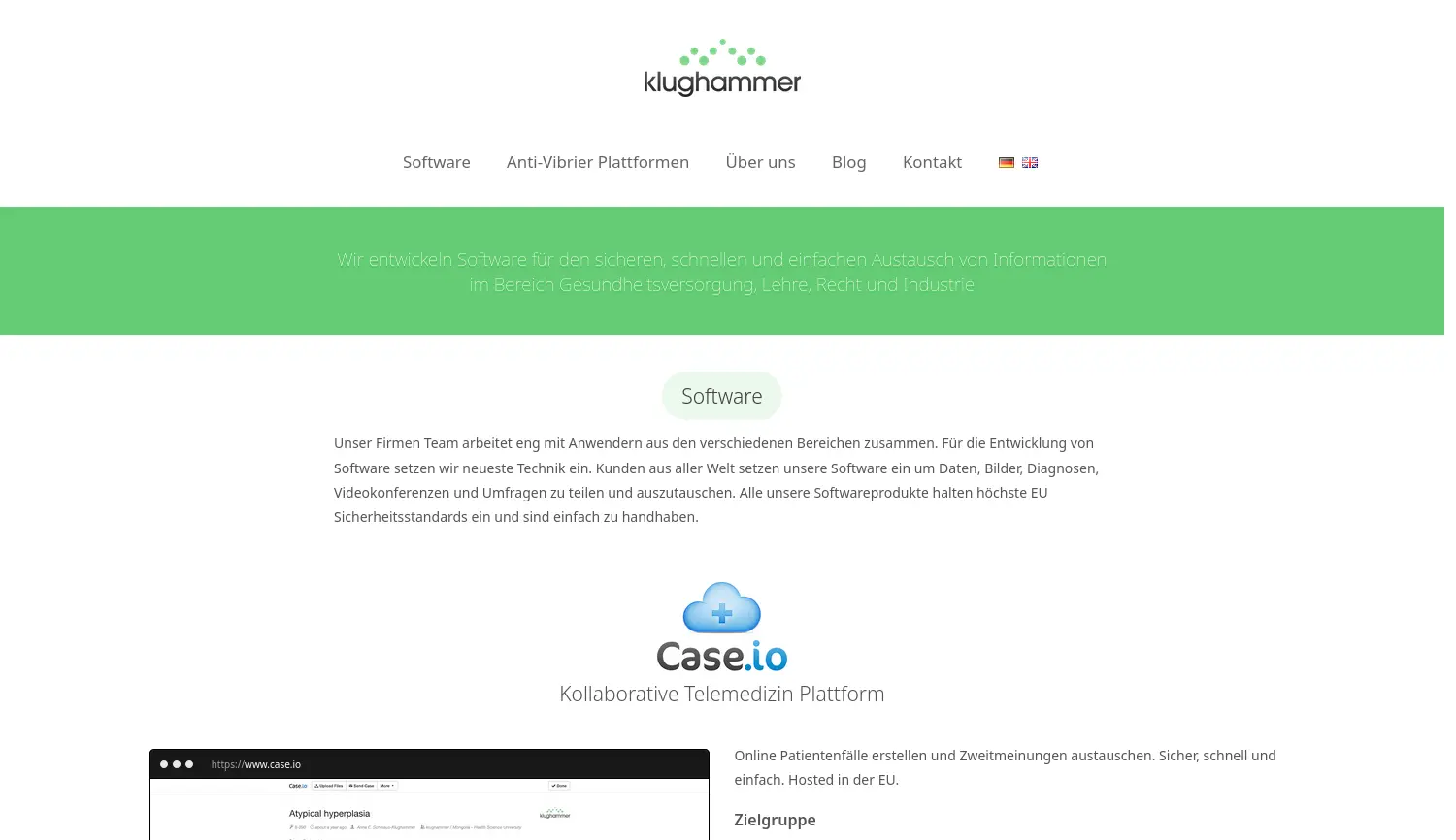 Website der Firma Klughammer GmbH