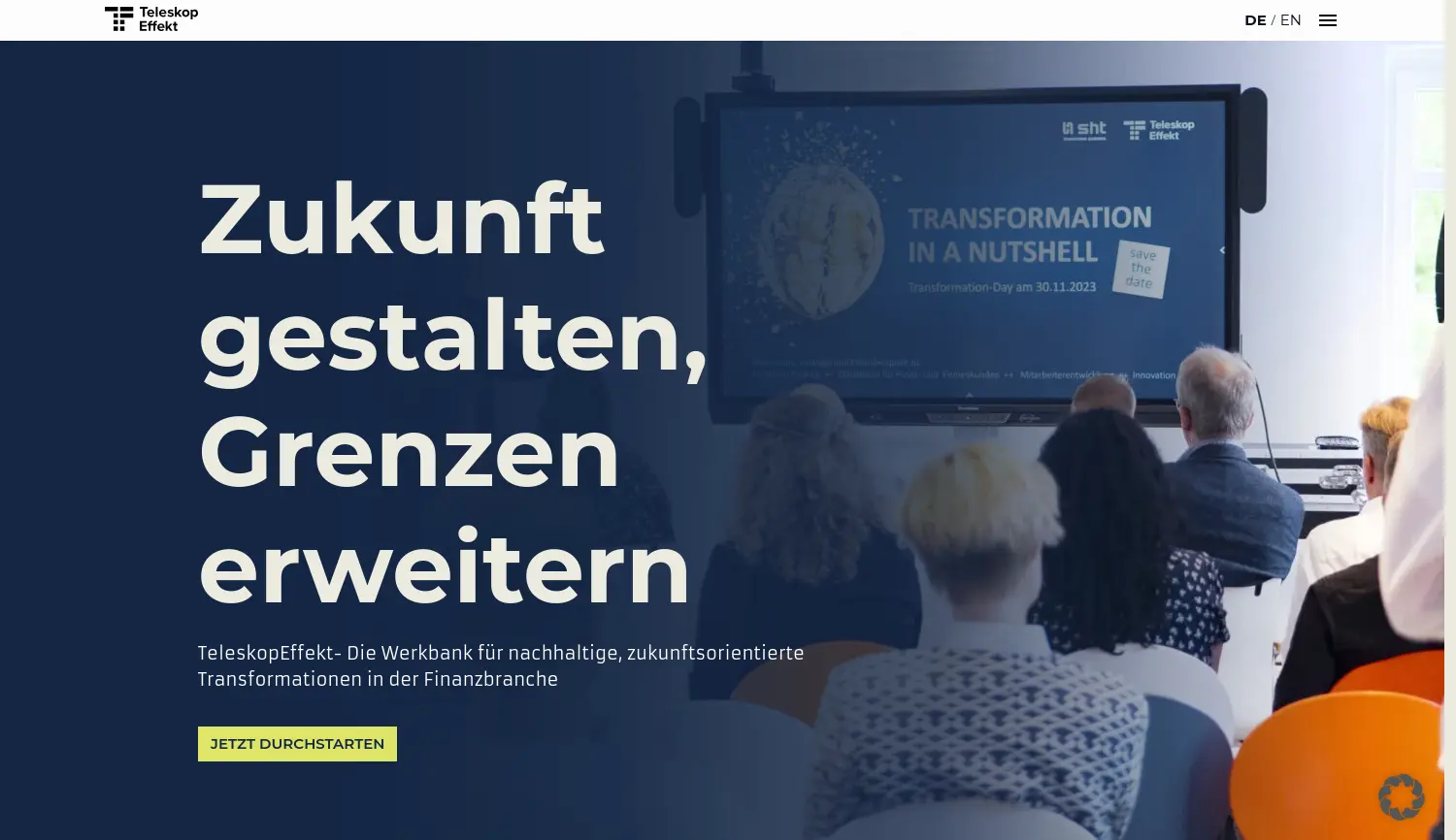 Website der Firma TeleskopEffekt GmbH