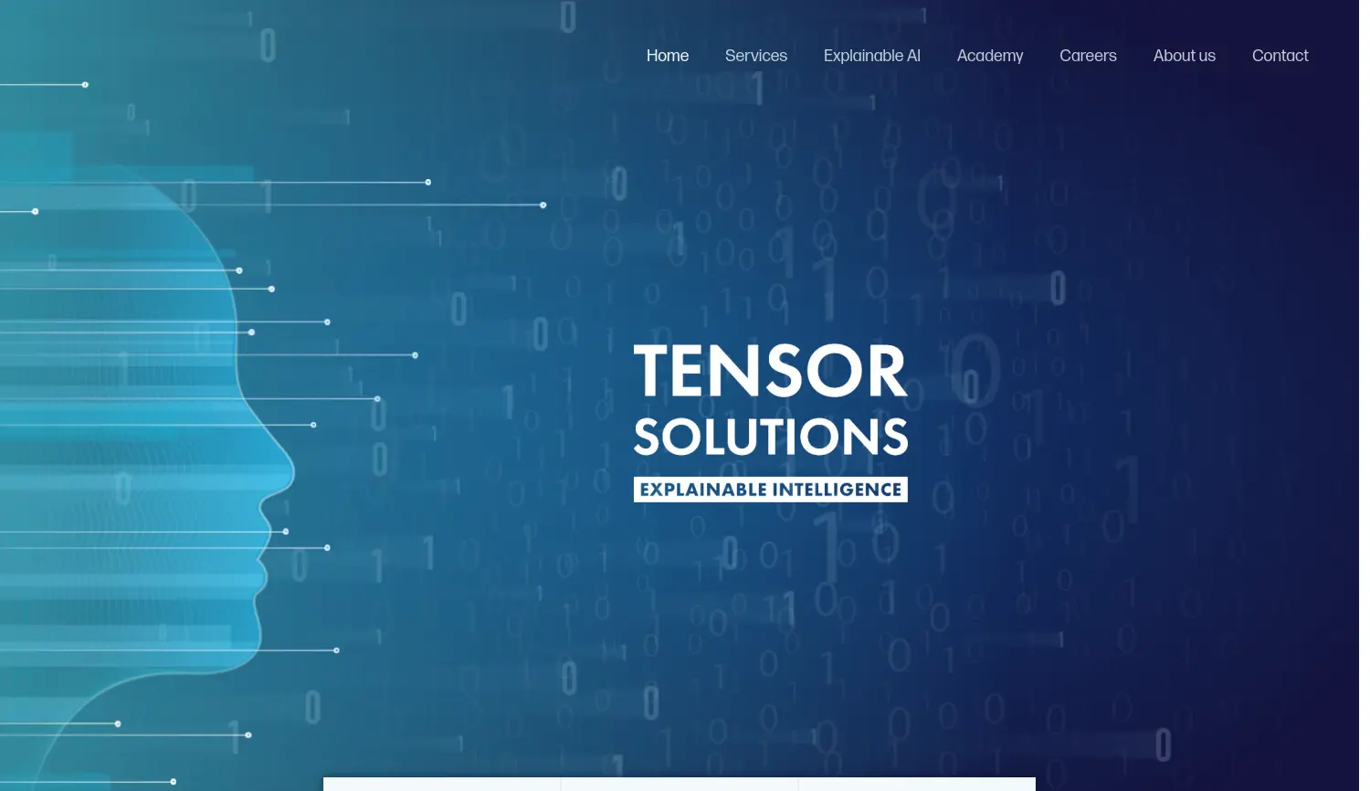 Website der Firma Tensor AI Solutions GmbH