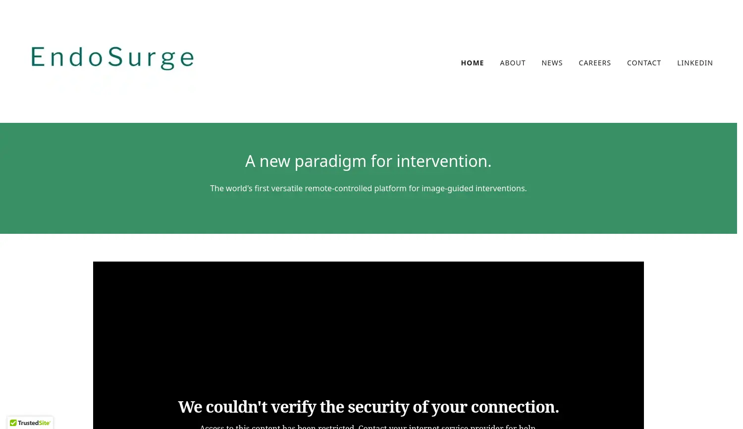 Website der Firma EndoSurge