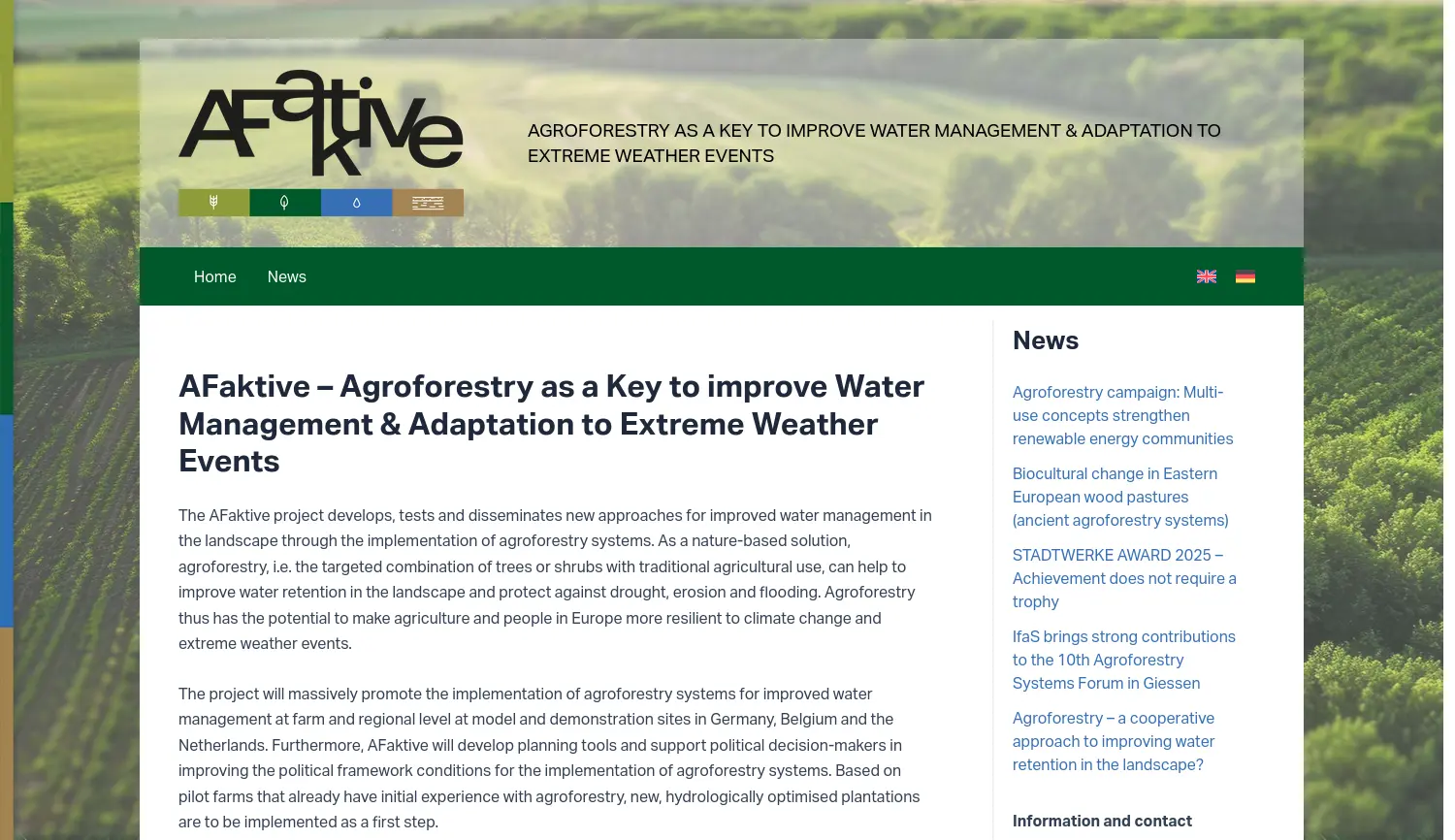 Website der Firma AFaktive