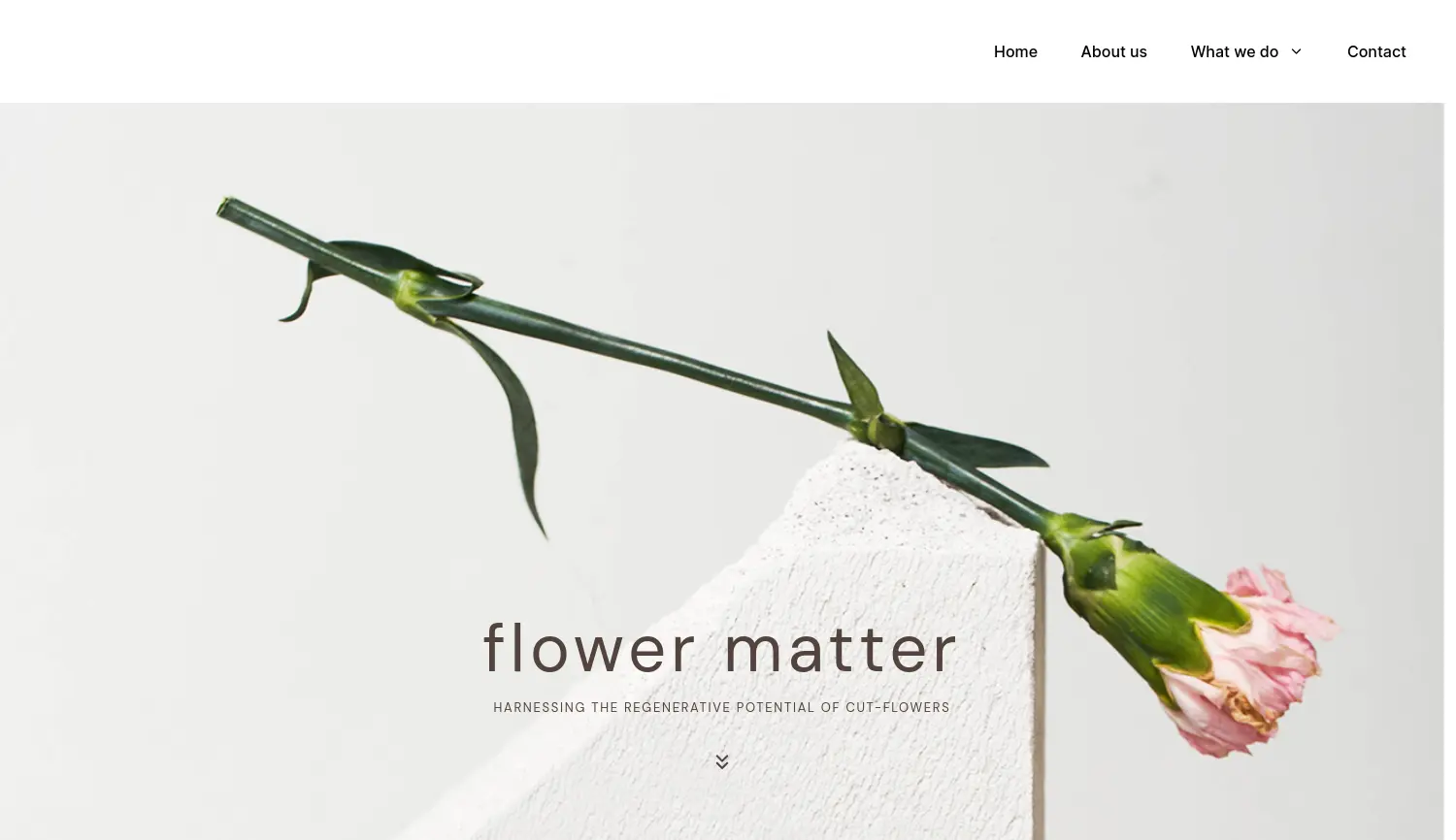 Website der Firma Flower Matter