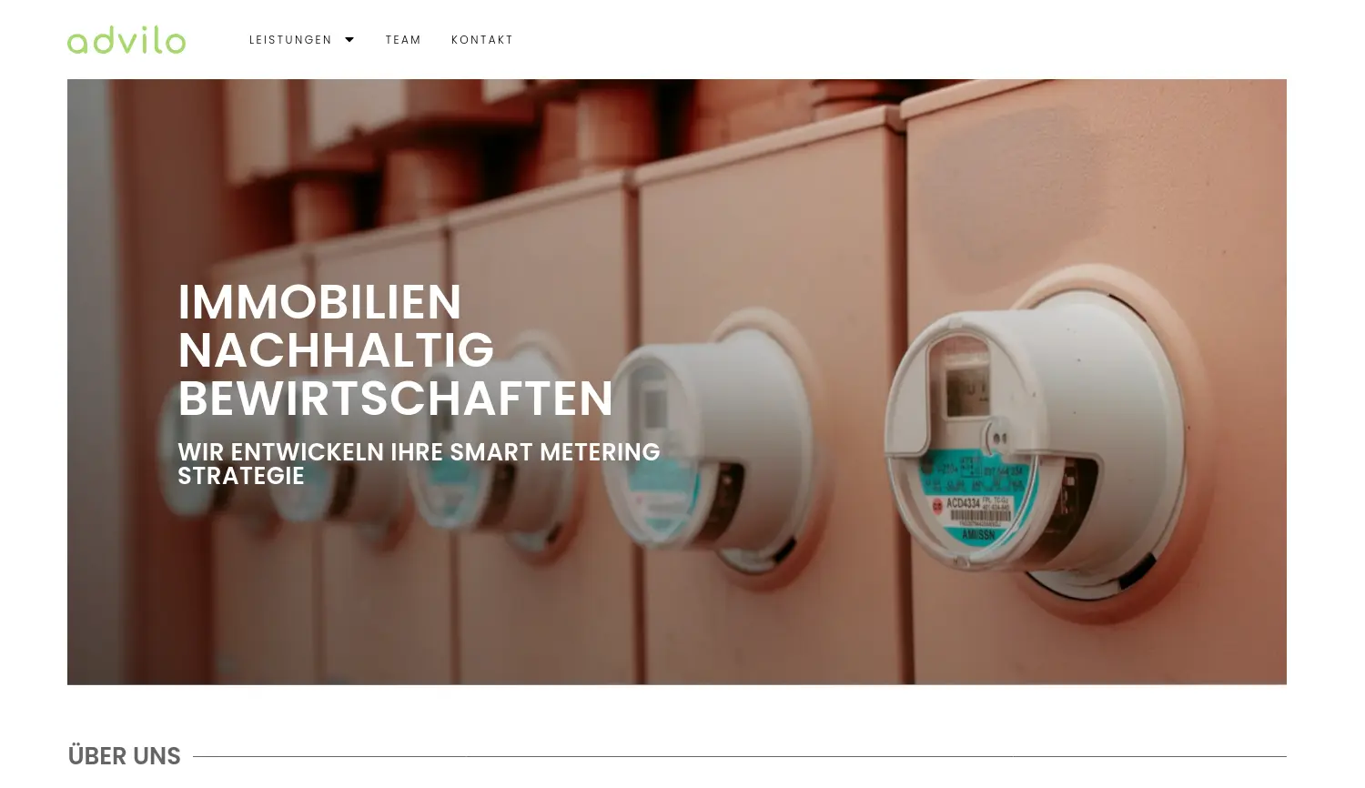 Website der Firma advilo