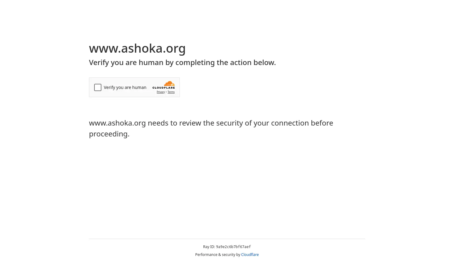 Website der Firma Ashoka
