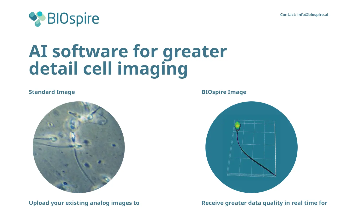 Website der Firma BIOspire.ai