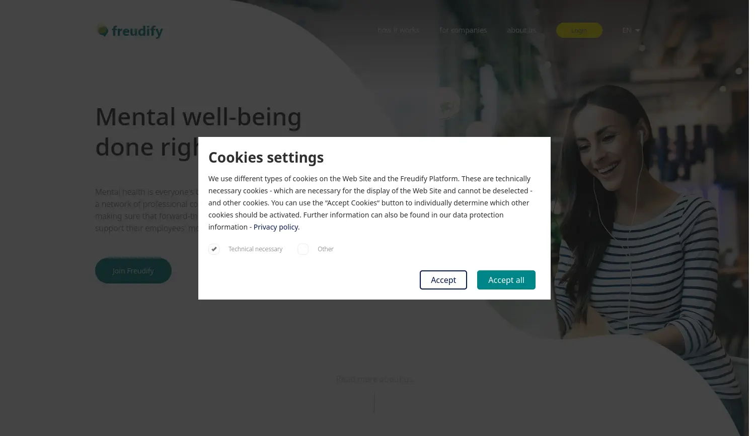 Website der Firma Freudify