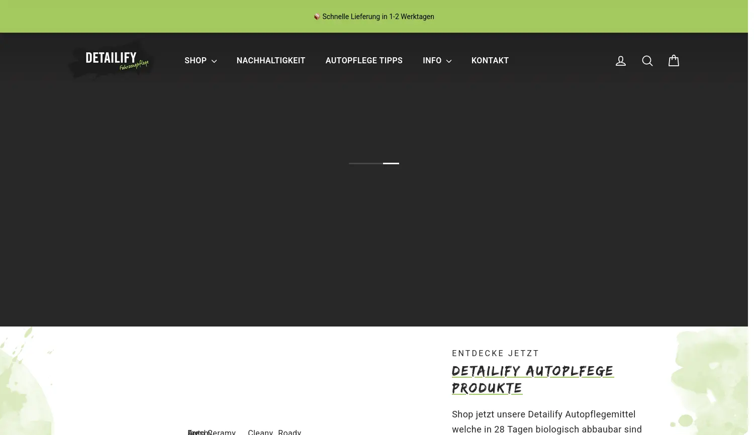 Website der Firma Detailify