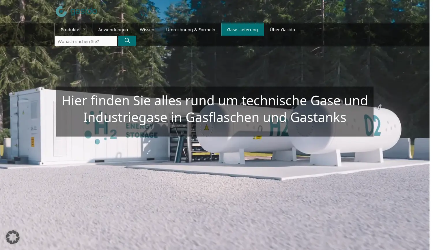 Website der Firma Gasido GmbH