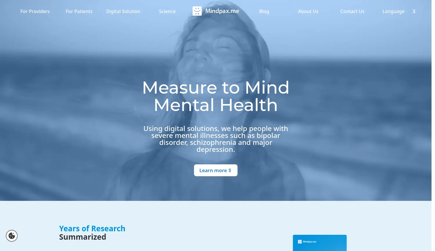 Website der Firma Mindpax