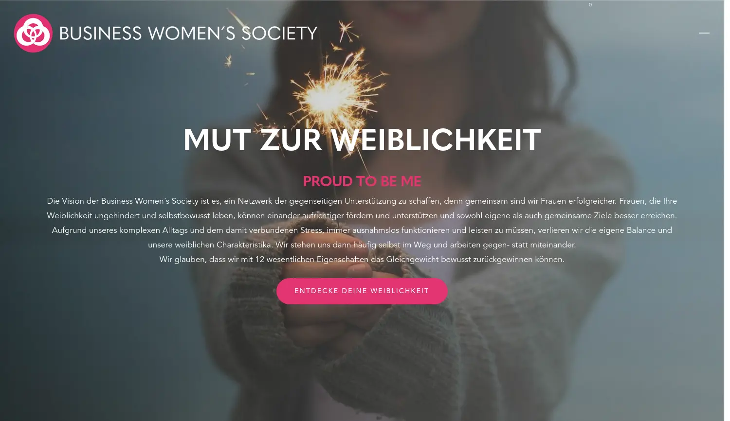 Website der Firma BWS Networking GmbH