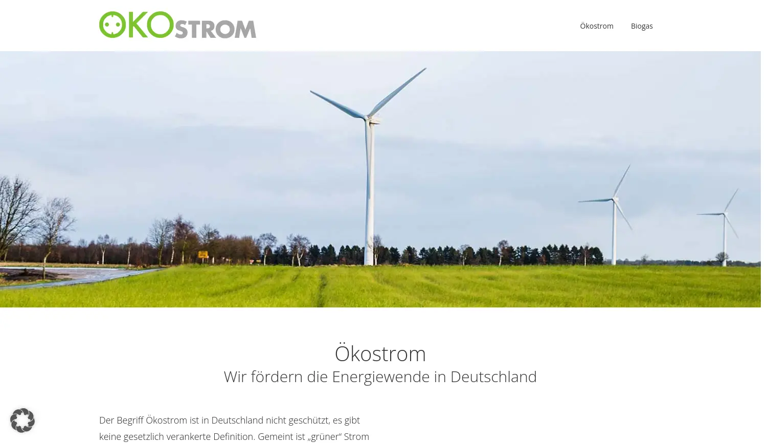 Website der Firma Ökostrom