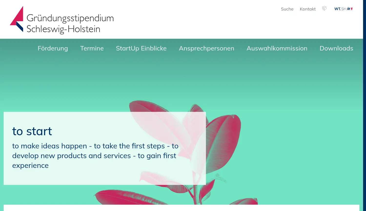 Website der Firma WTSH Wirtschaftsförderung und Technologietransfer Schleswig-Holstein GmbH