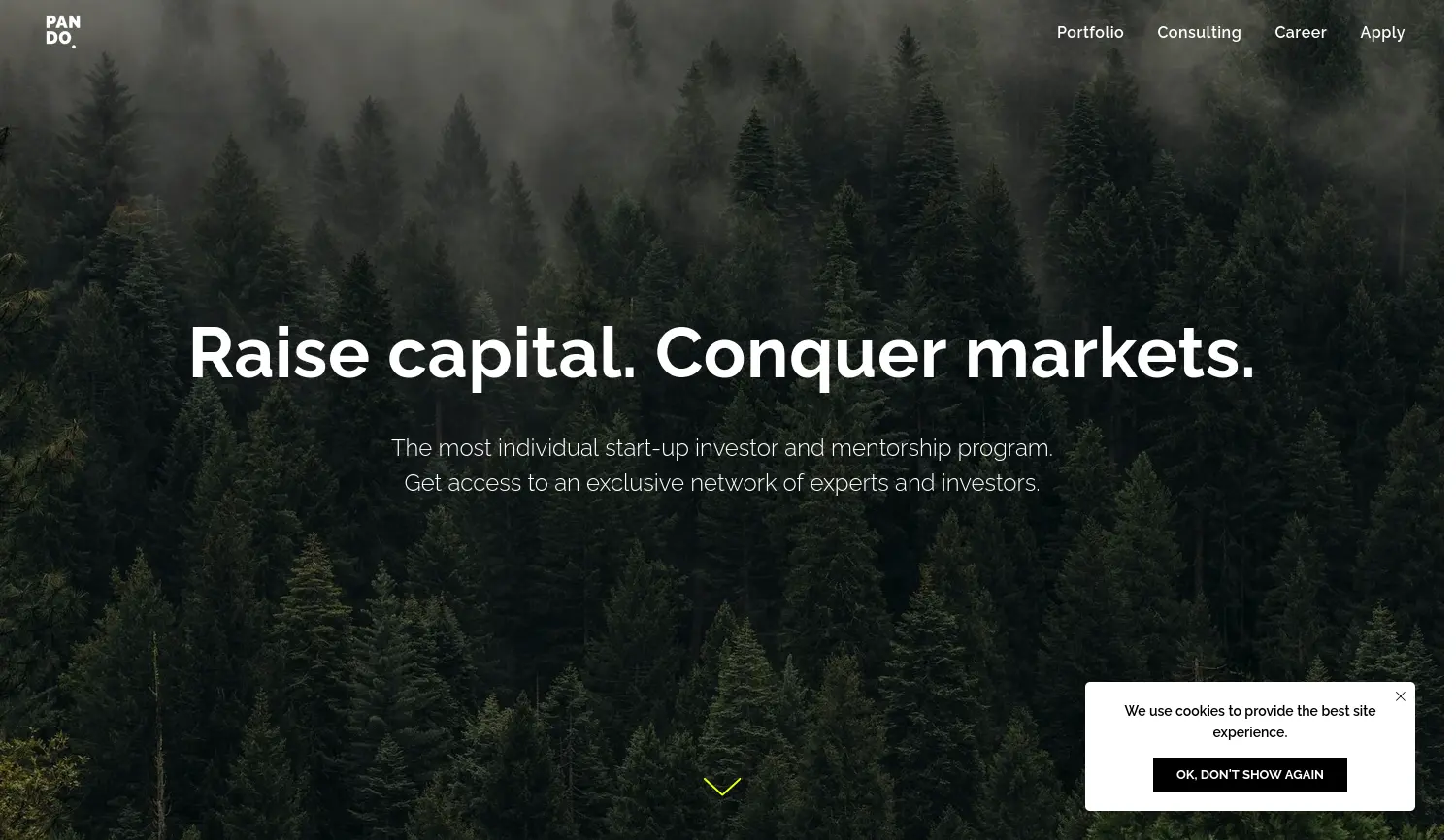 Website der Firma Pando Ventures GmbH