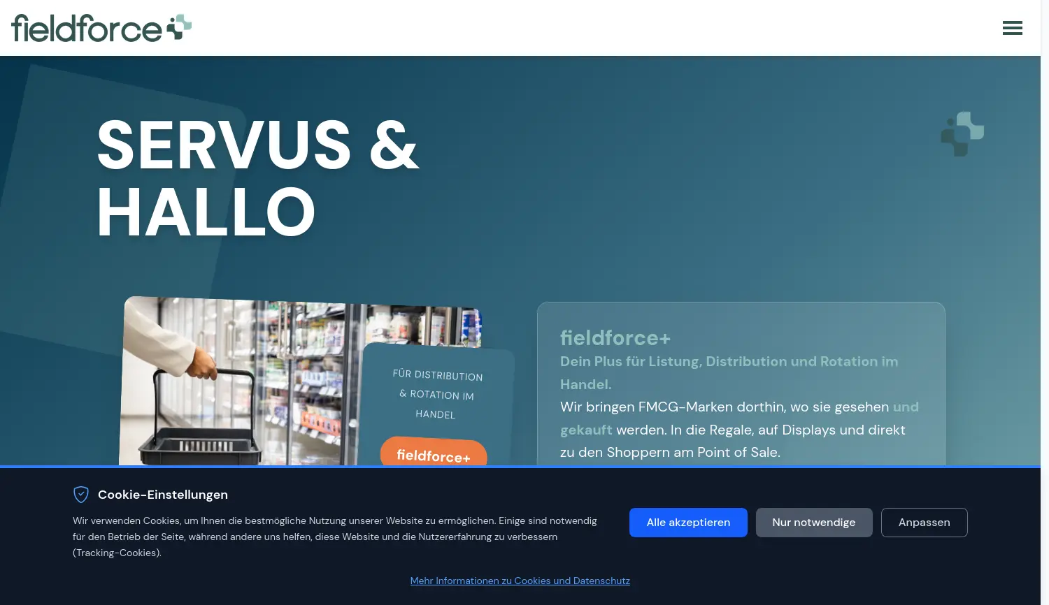 Website der Firma fieldforce+