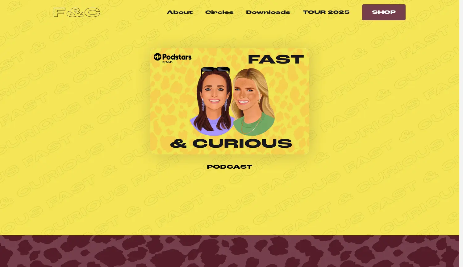 Website der Firma Podstars by OMR