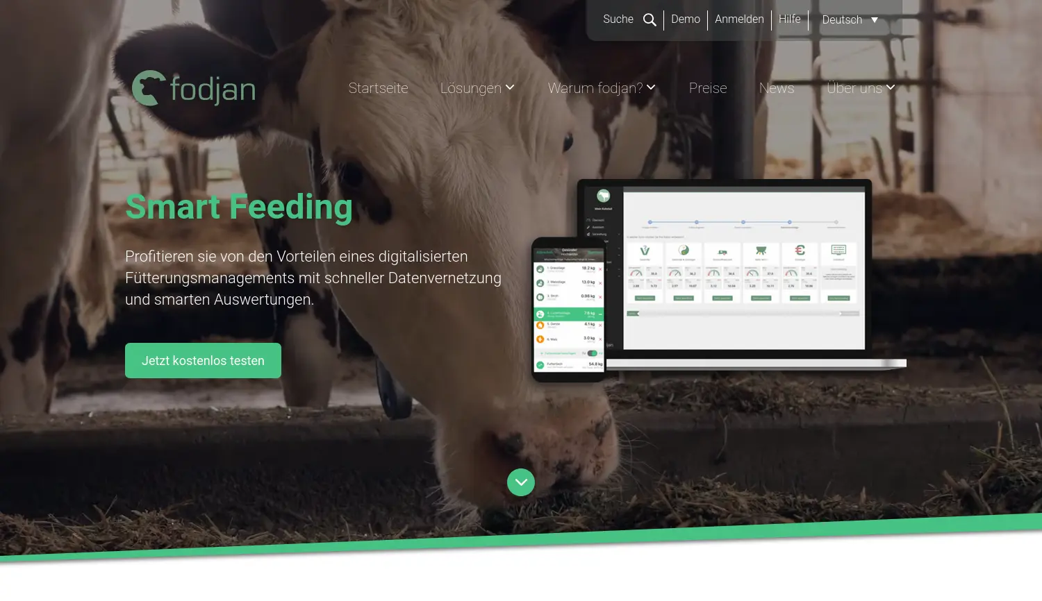 Website der Firma fodjan GmbH