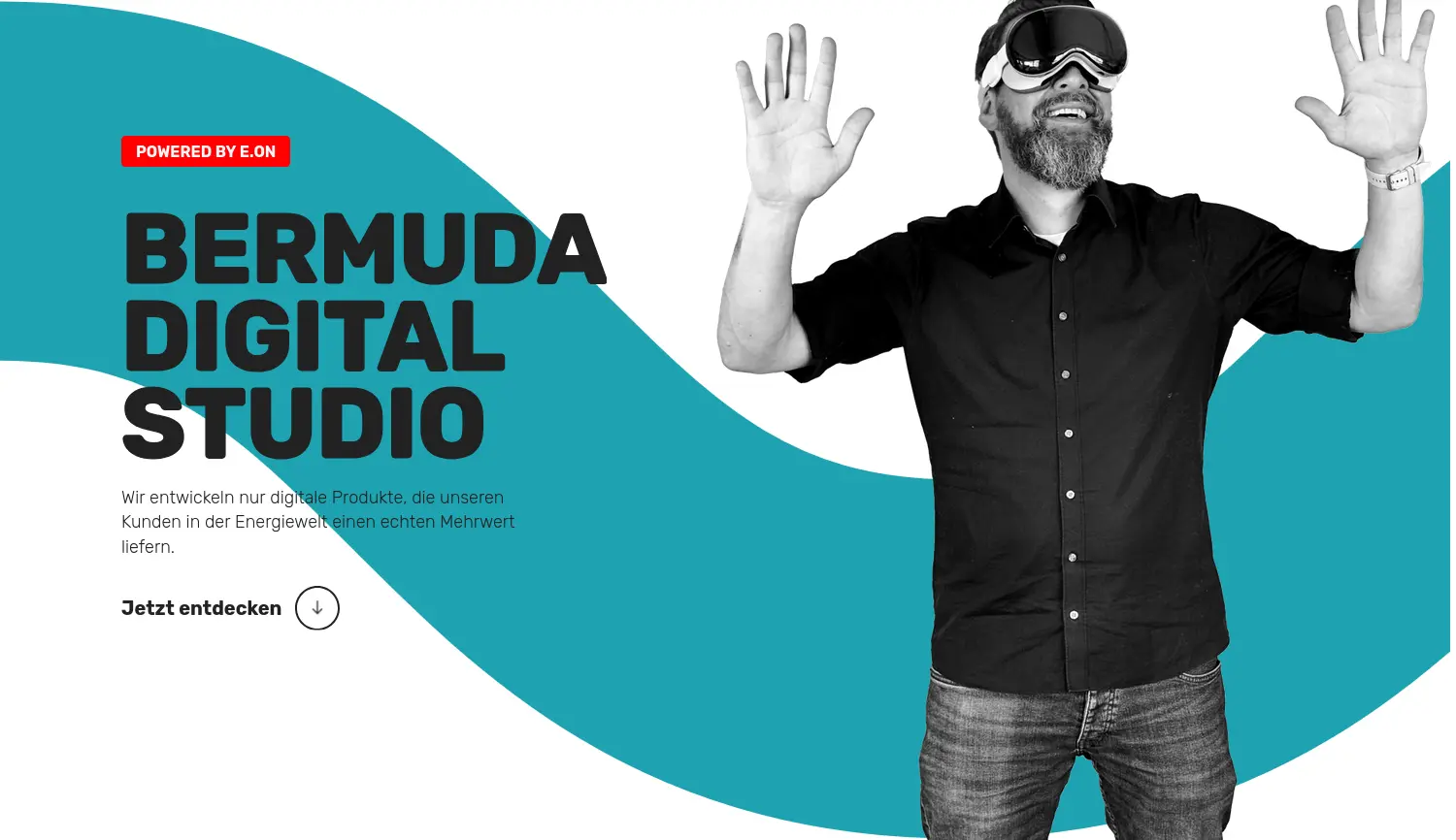 Website der Firma Bermuda Digital Studio