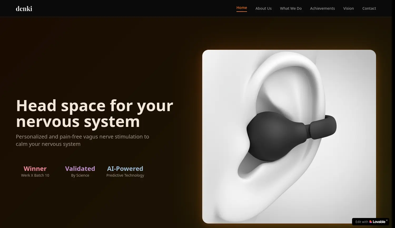 Website der Firma Denki Health GbR