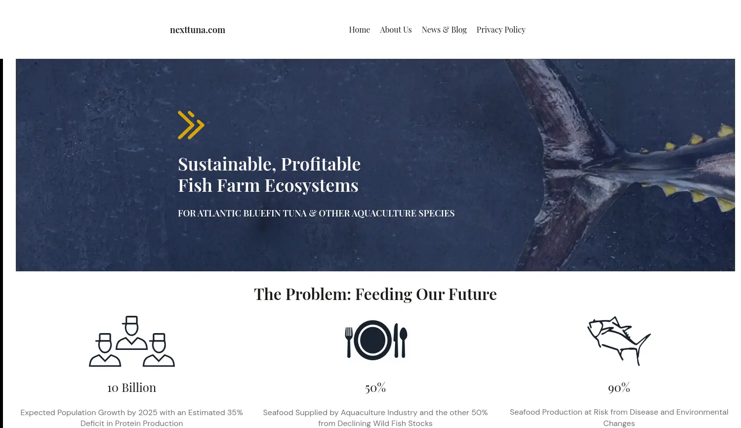 Website der Firma Next Tuna GmbH