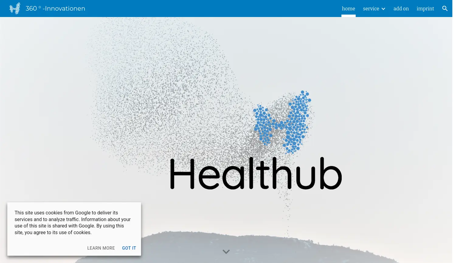 Website der Firma Healthub