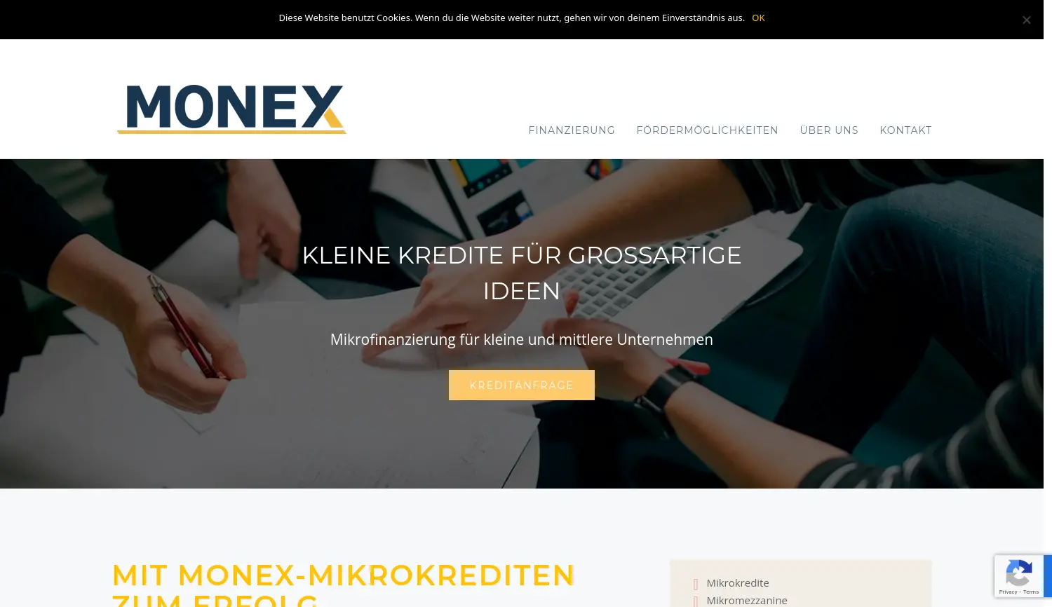 Website der Firma MONEX Mikrofinanzierung Baden-Württemberg e. V.