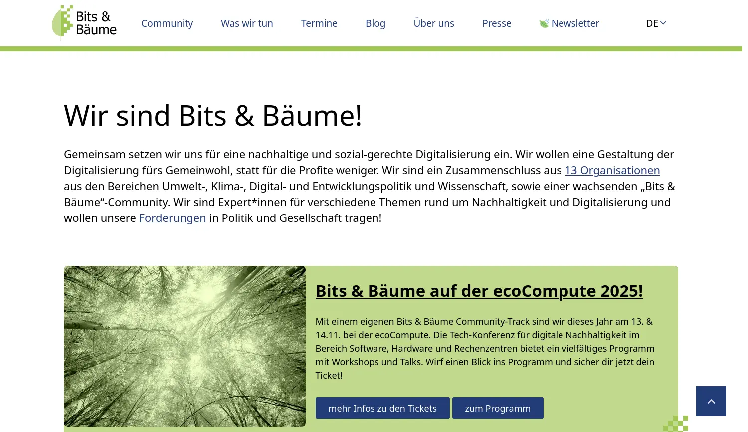 Website der Firma Bits & Bäume