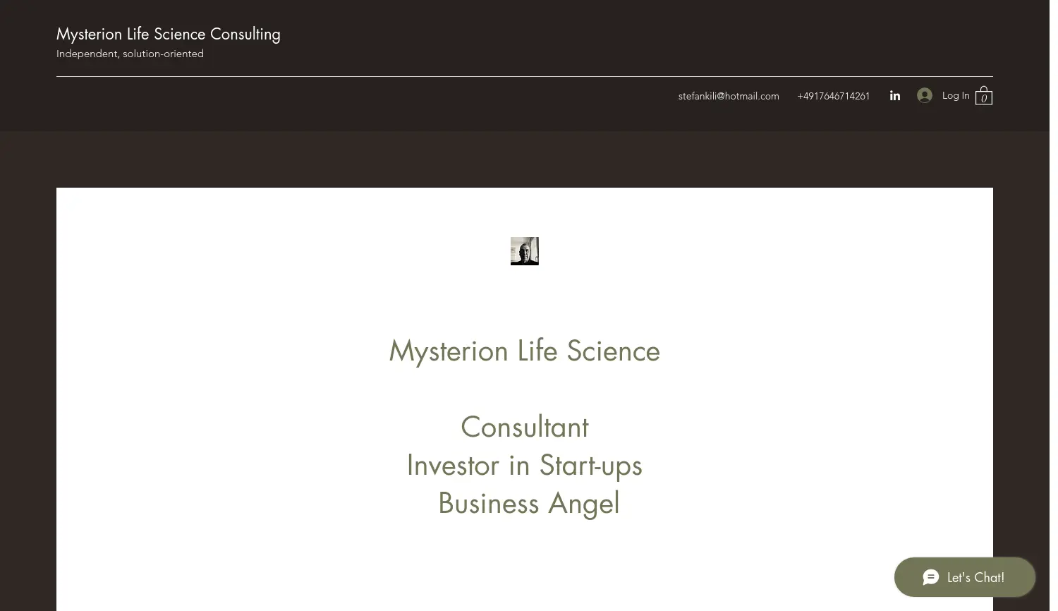 Website der Firma Mysterion Health Care Consulting