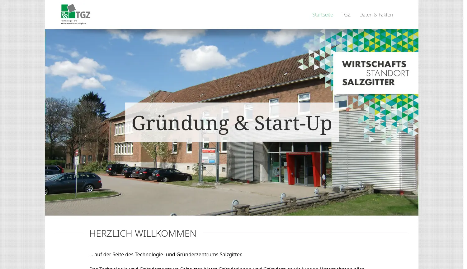 Website der Firma Wirtschafts- und Innovationsförderung Salzgitter GmbH