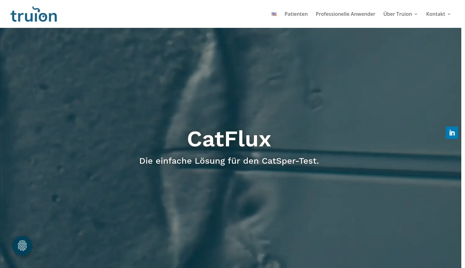 Website der Firma Truion