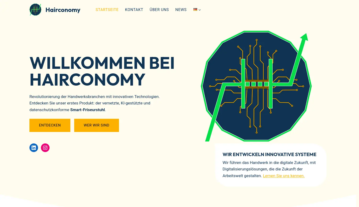 Website der Firma Hairconomy