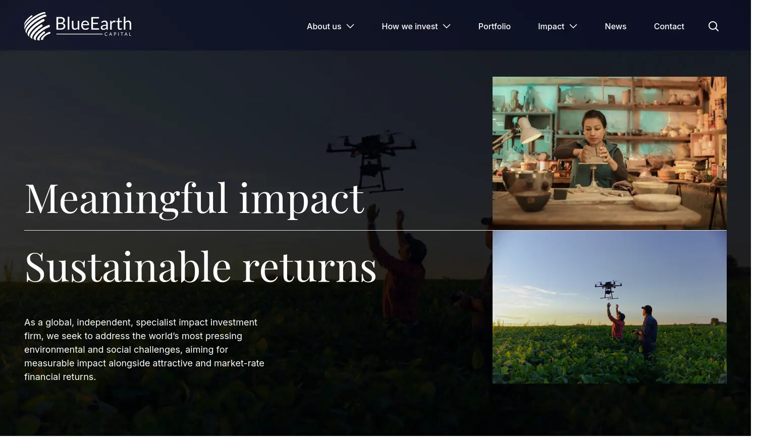 Website der Firma Blue Earth Capital (EU) GmbH