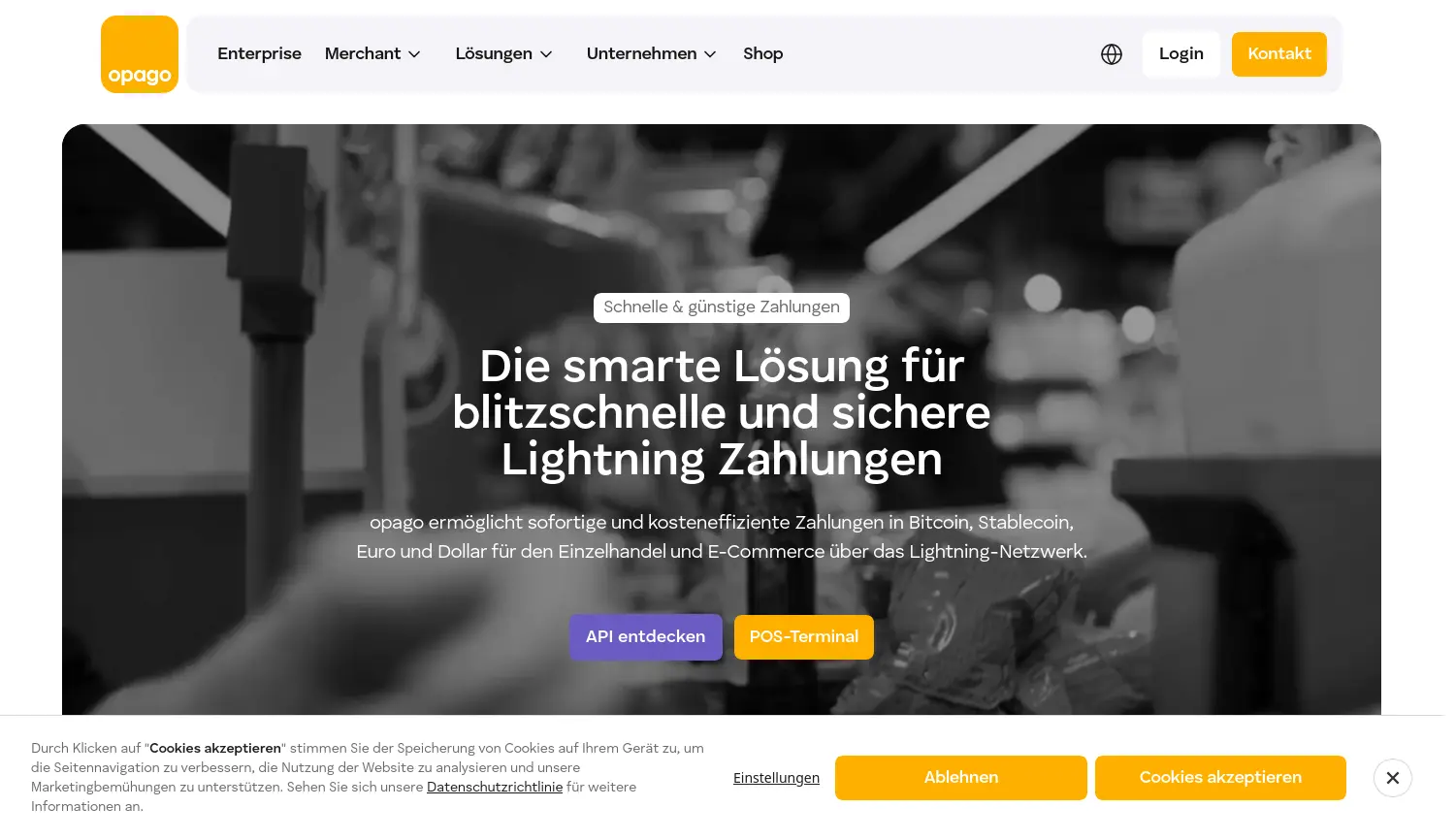 Website der Firma opago GmbH