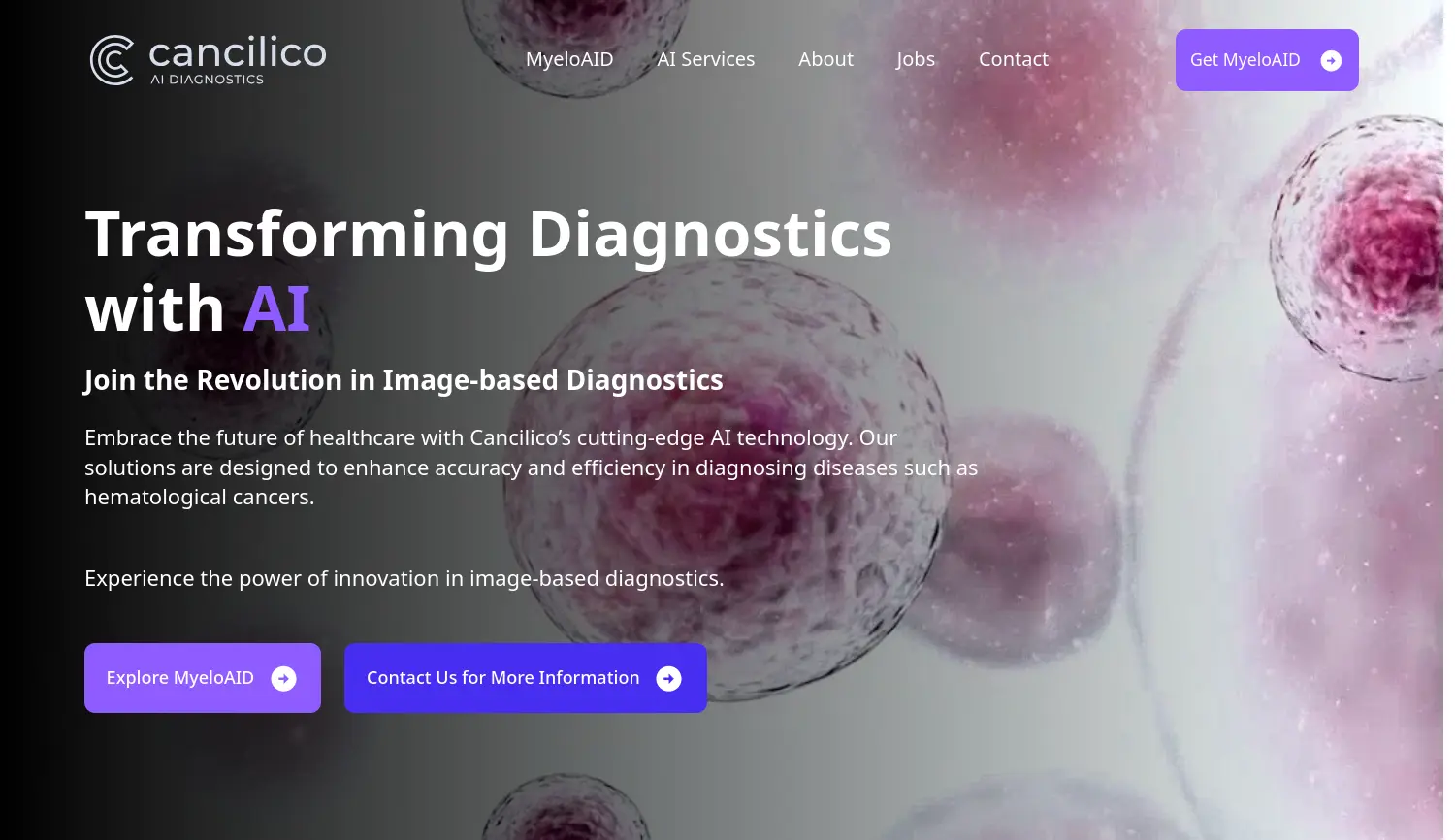 Website der Firma Cancilico GmbH