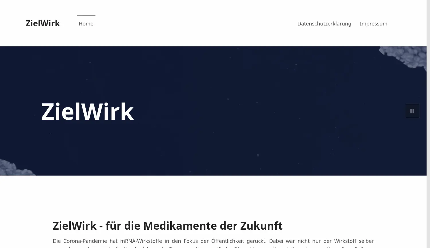 Website der Firma Zielwirk (Konsortium, Webauftritt betrieben durch FDX Fluid Dynamix GmbH)
