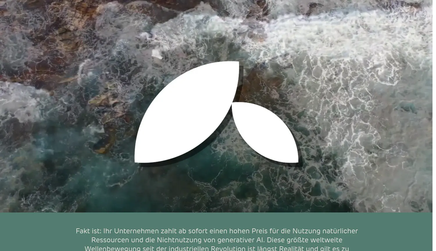 Website der Firma Trust Peak Consulting UG