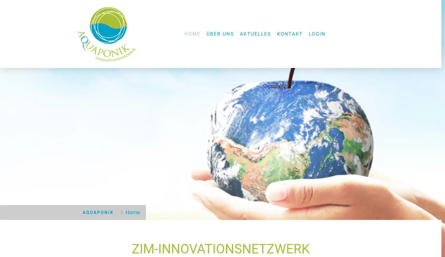 Website der Firma EurA AG (Netzwerkmanagement)