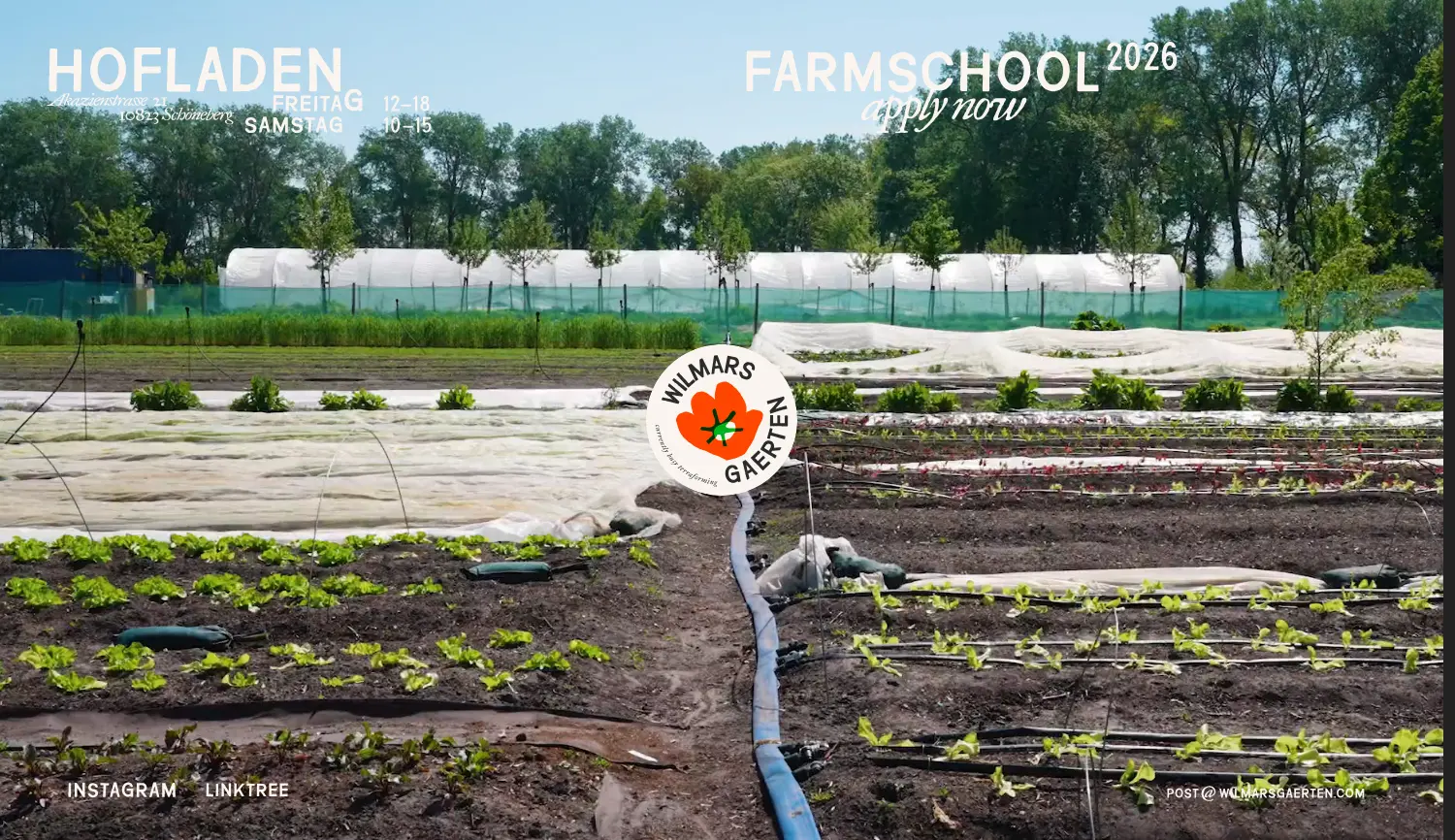 Website der Firma Wilmars Gaerten