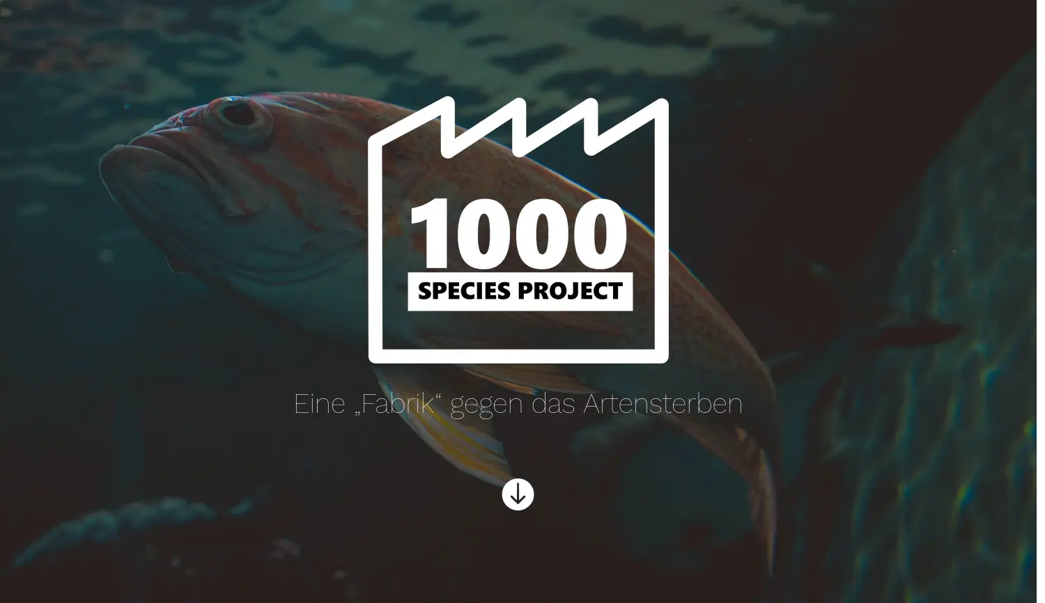 Website der Firma Berliner Gesellschaft für Großaquarien mbH