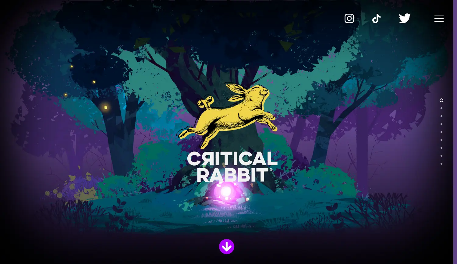 Website der Firma BUNTSPECHT Film & Digitales GmbH