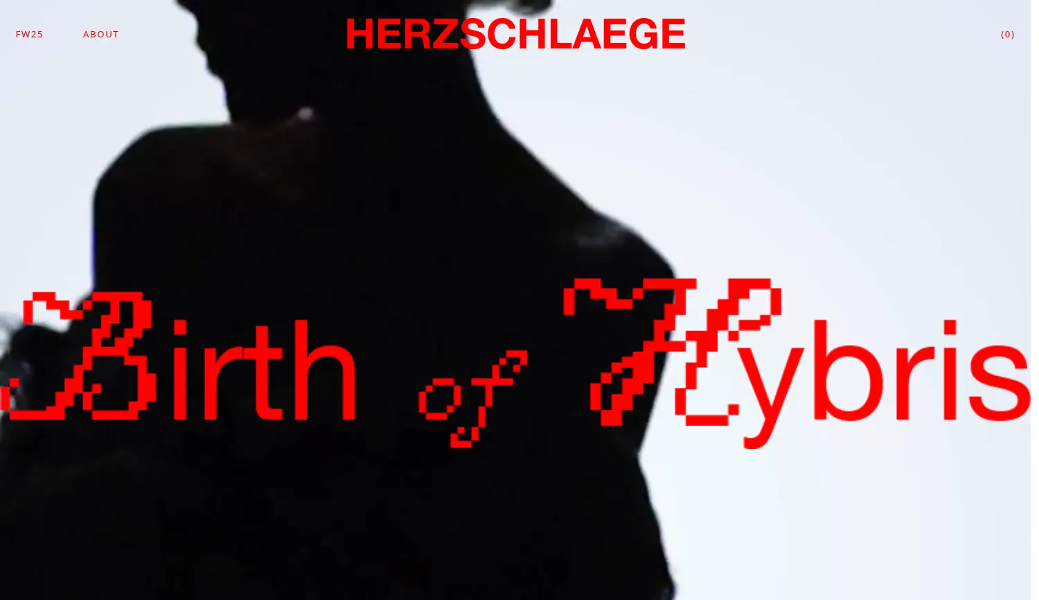 Website der Firma HERZSCHLAEGE