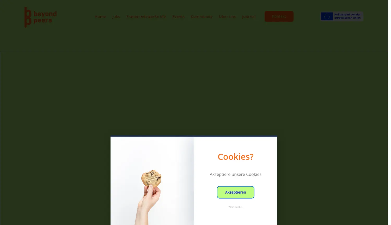 Website der Firma beyond peers