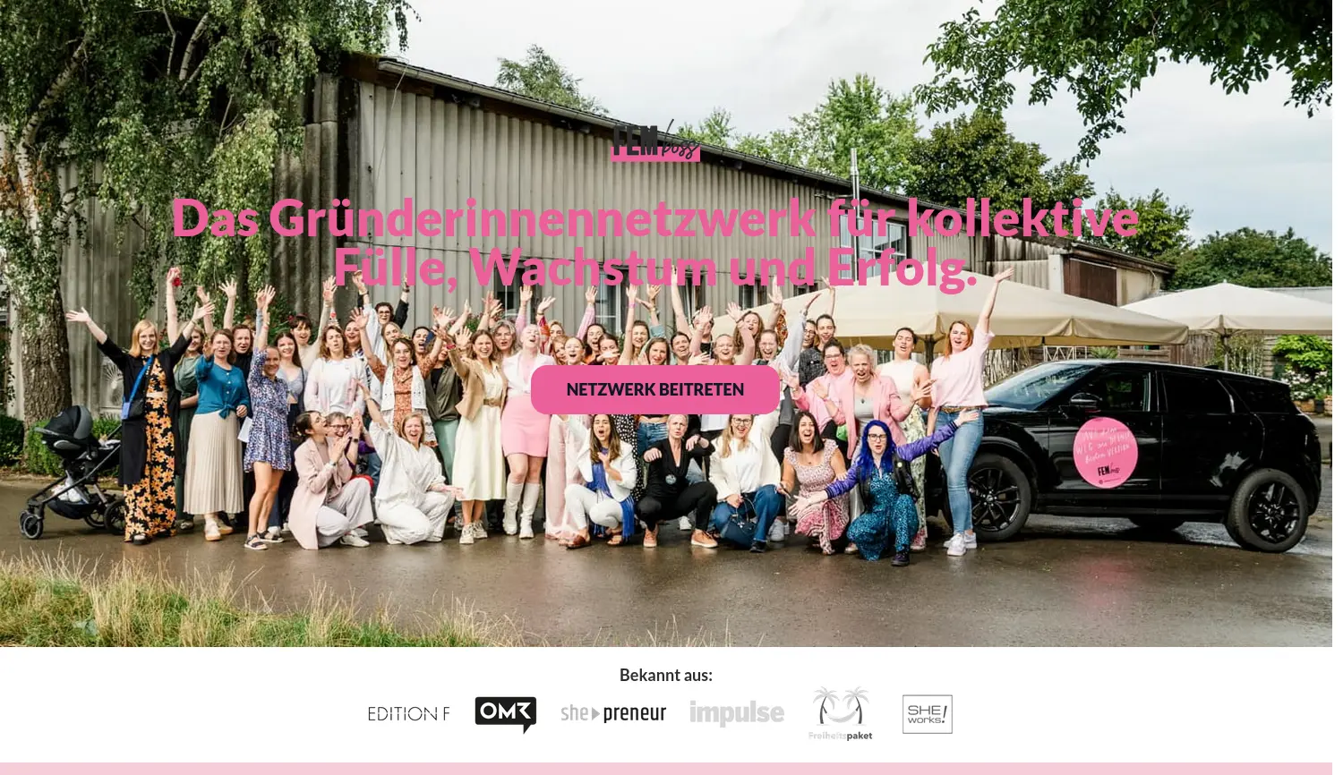 Website der Firma FEMboss