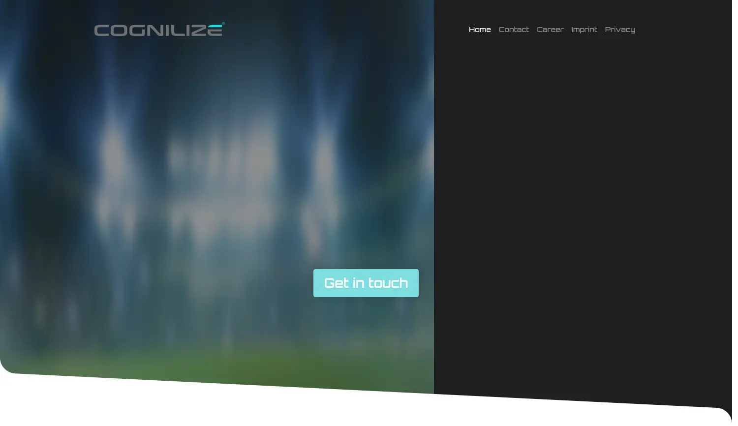 Website der Firma Cognilize GmbH