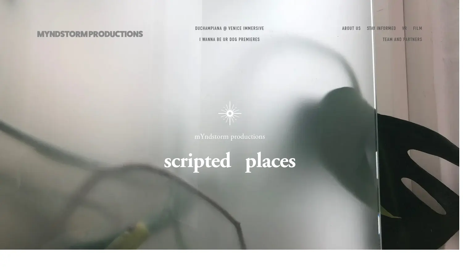 Website der Firma mYndstorm GmbH