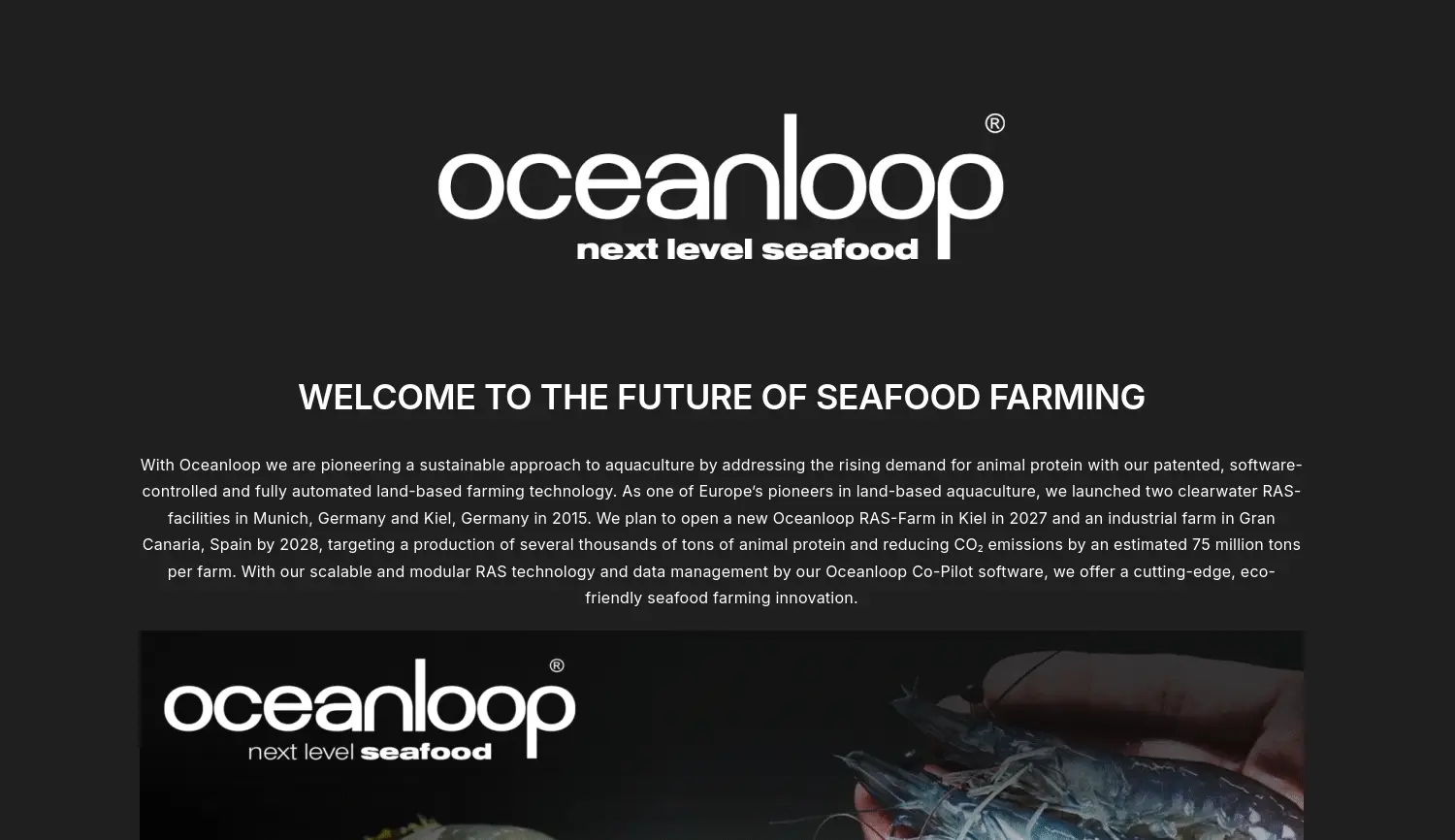 Website der Firma Oceanloop Management GmbH